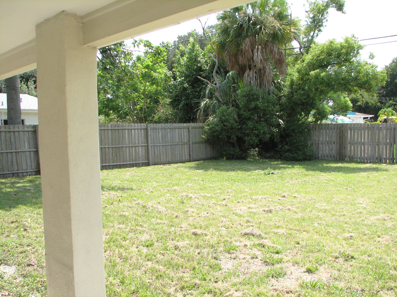 Rear Yard and Porch