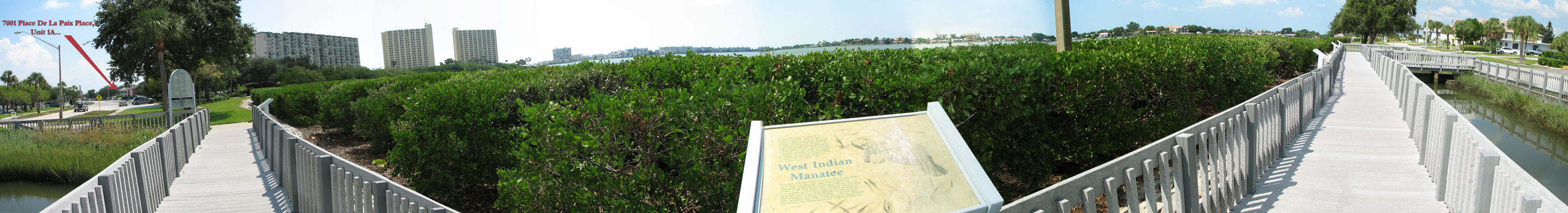 Full Panoramic of Area